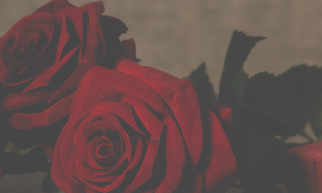 Gaver til 250 kr. og derunder