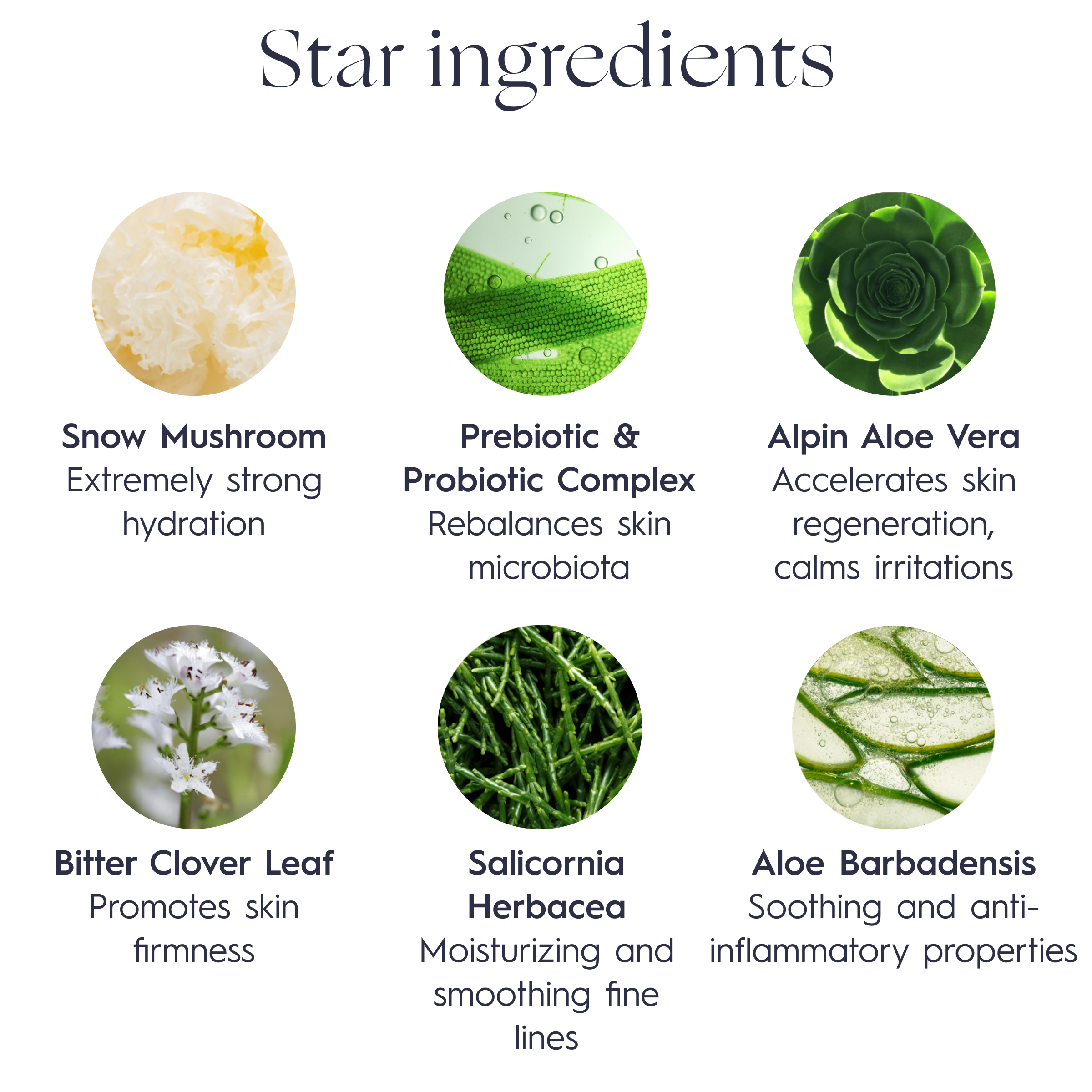 NATURAL DETOX replenishing face mask 50ml