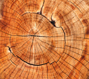 Monks - Cobal Green- Natural deodorant