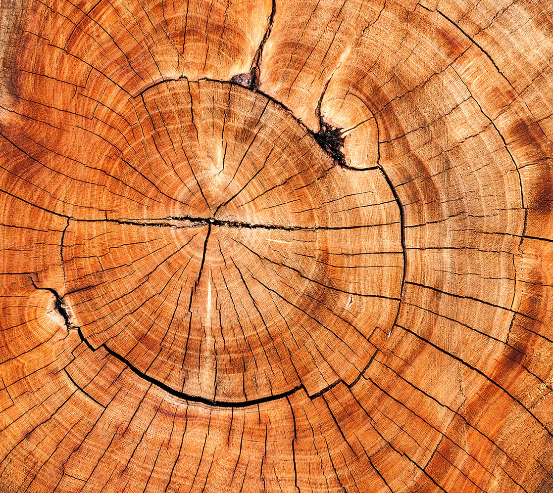 Monks - Cobal Green- Natural deodorant